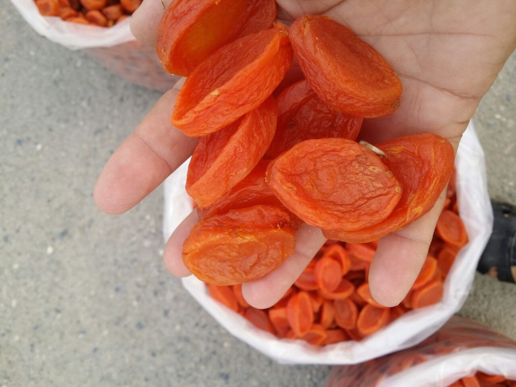 images/Ўрик 1.jpg